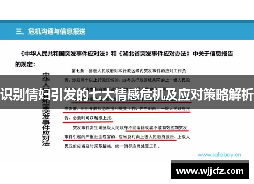 识别情妇引发的七大情感危机及应对策略解析