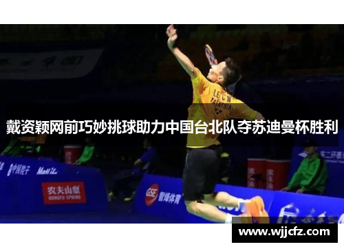 戴资颖网前巧妙挑球助力中国台北队夺苏迪曼杯胜利